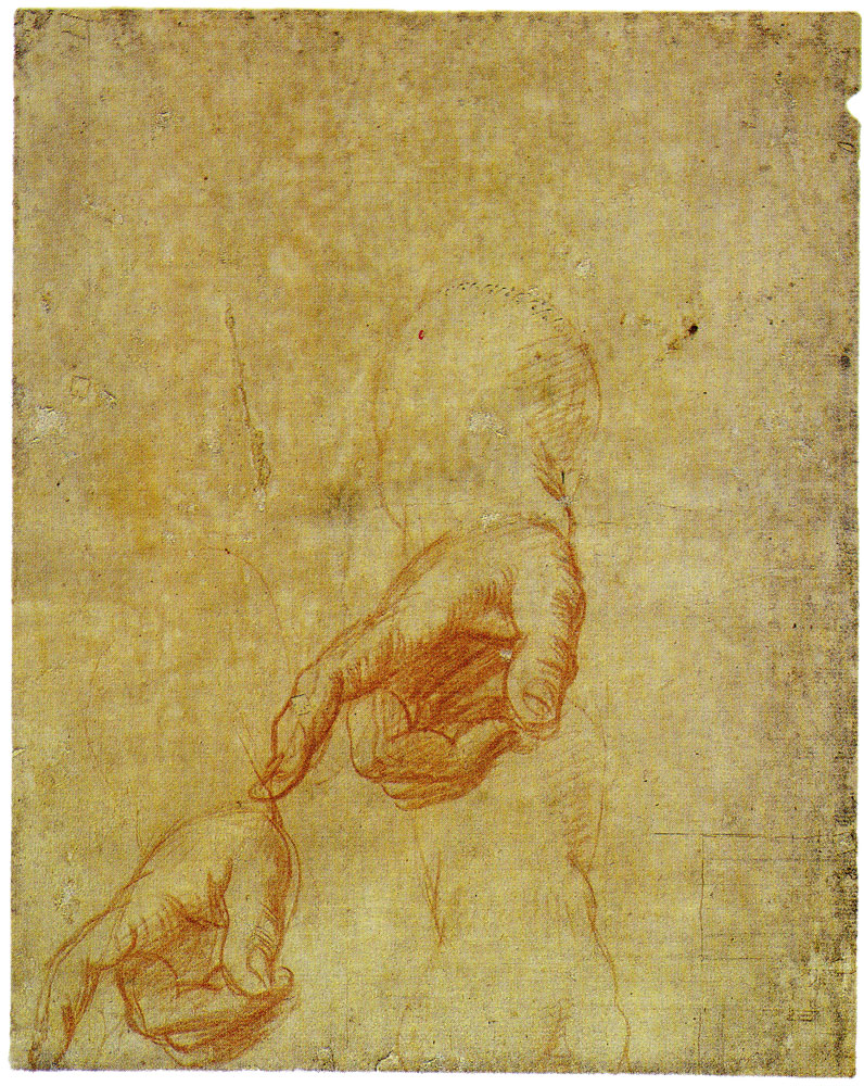 Federico Barocci - Study of the Virgin's Right Hand for the Madonna del Gatto
