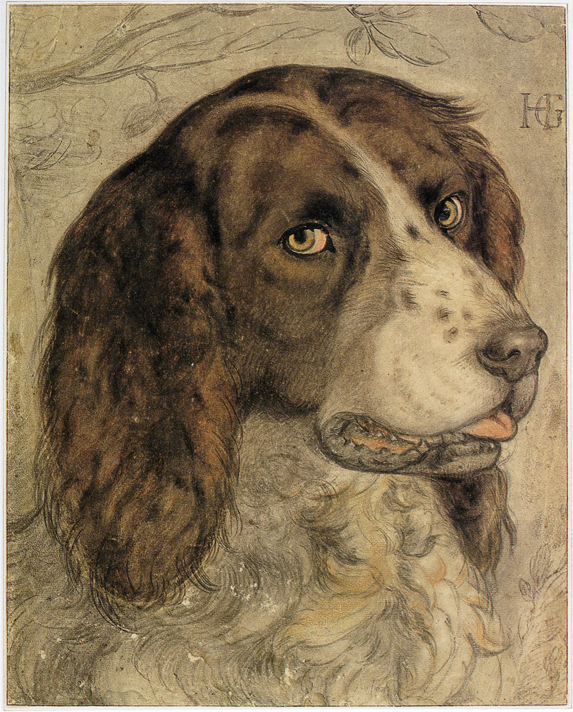 Hendrick Goltzius - Goltzius's Dog
