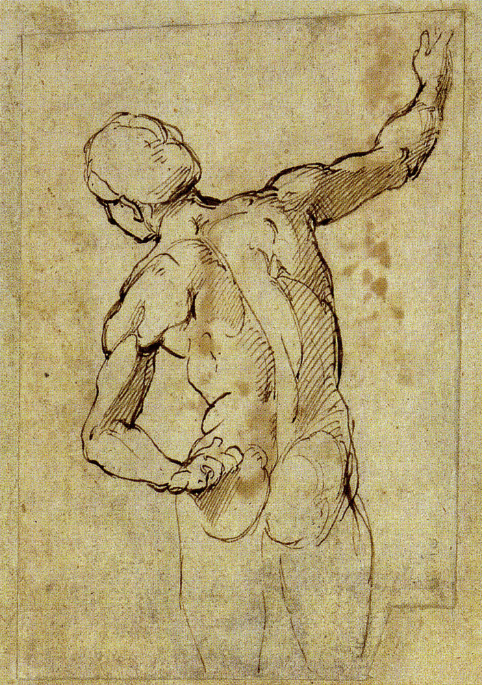 Raphael - Nude Man Half Length Seen From Behind