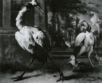 Jan Weenix A Japanese crane and king vulture