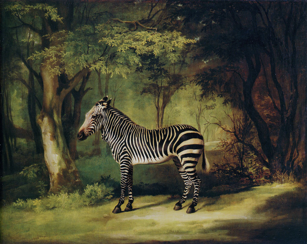George Stubbs - A Zebra