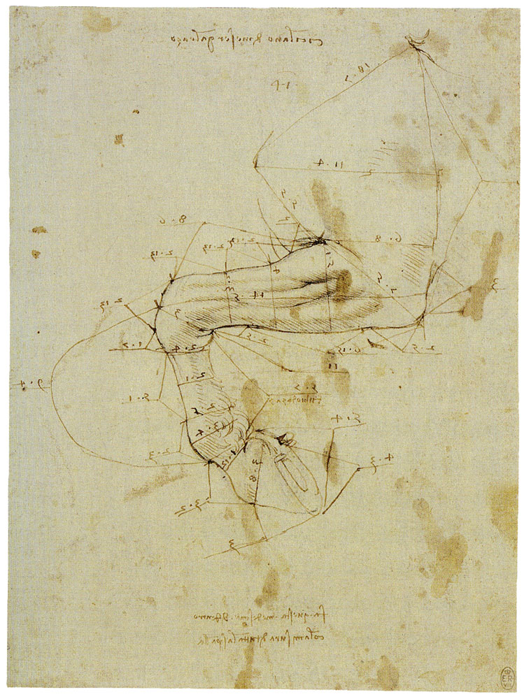 Leonardo da Vinci - Horse Studies