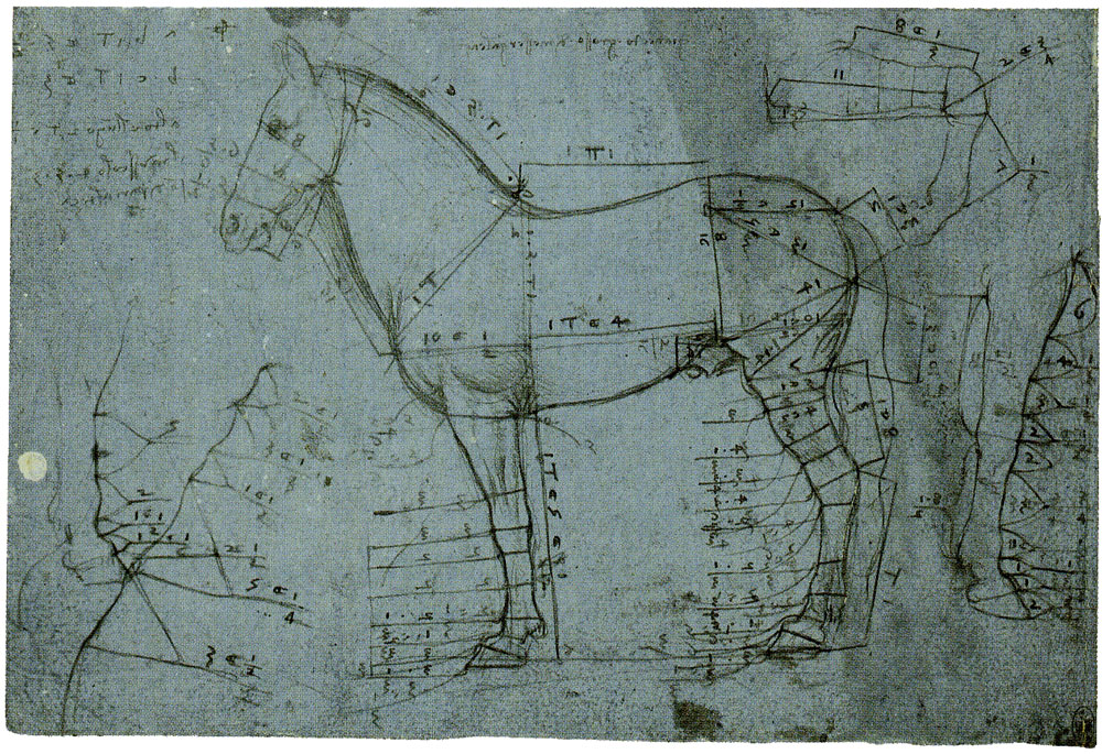 Leonardo da Vinci - Horse Studies with Measurements