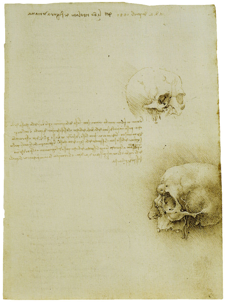 Leonardo da Vinci - Studies of the Human Skull