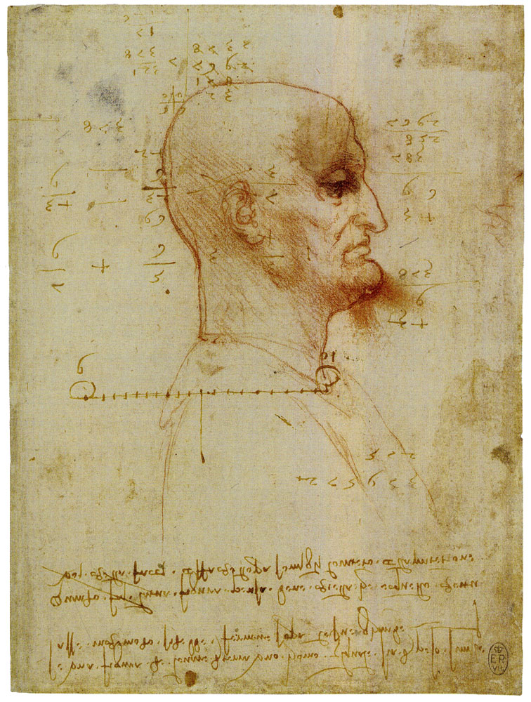 Leonardo da Vinci - Study of a Man in Profile