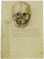 Leonardo da Vinci Anatomical study of the human skull