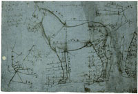 Leonardo da Vinci Horse Studies with Measurements