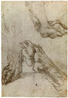 Leonardo da Vinci Studies of a Dog's Paw