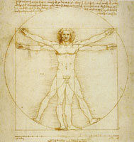 Leonardo da Vinci The Vitruvian Man