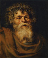 Peter Paul Rubens Head of an Old Man