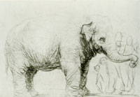Rembrandt An elephant