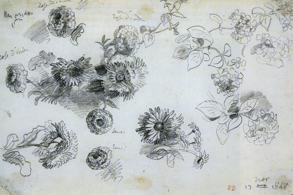 Eugène Delacroix - Flower Studies: Indian Roses, Marigolds, and Geraniums