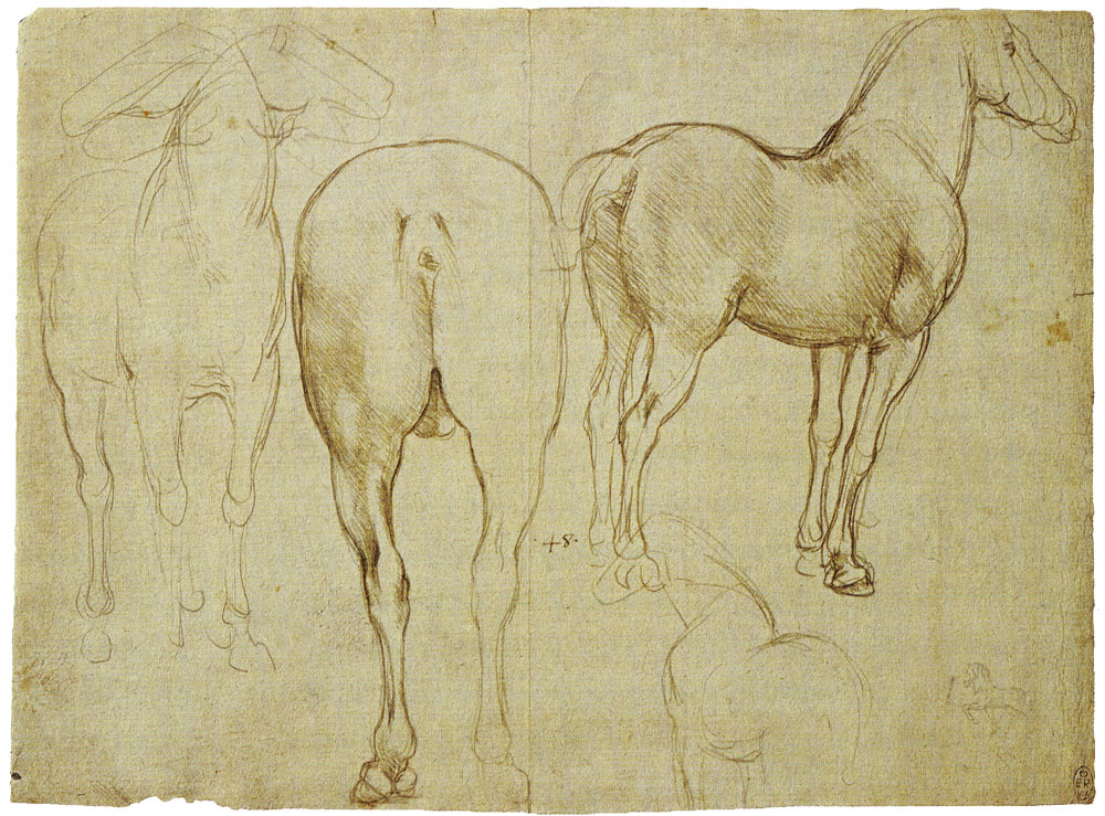 Leonardo da Vinci - Horse Studies