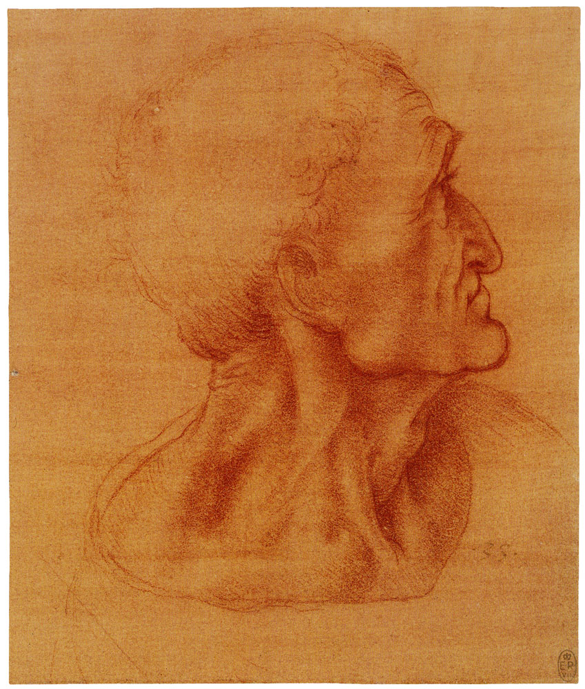 Leonardo da Vinci - Study of a Man with His Head Turned