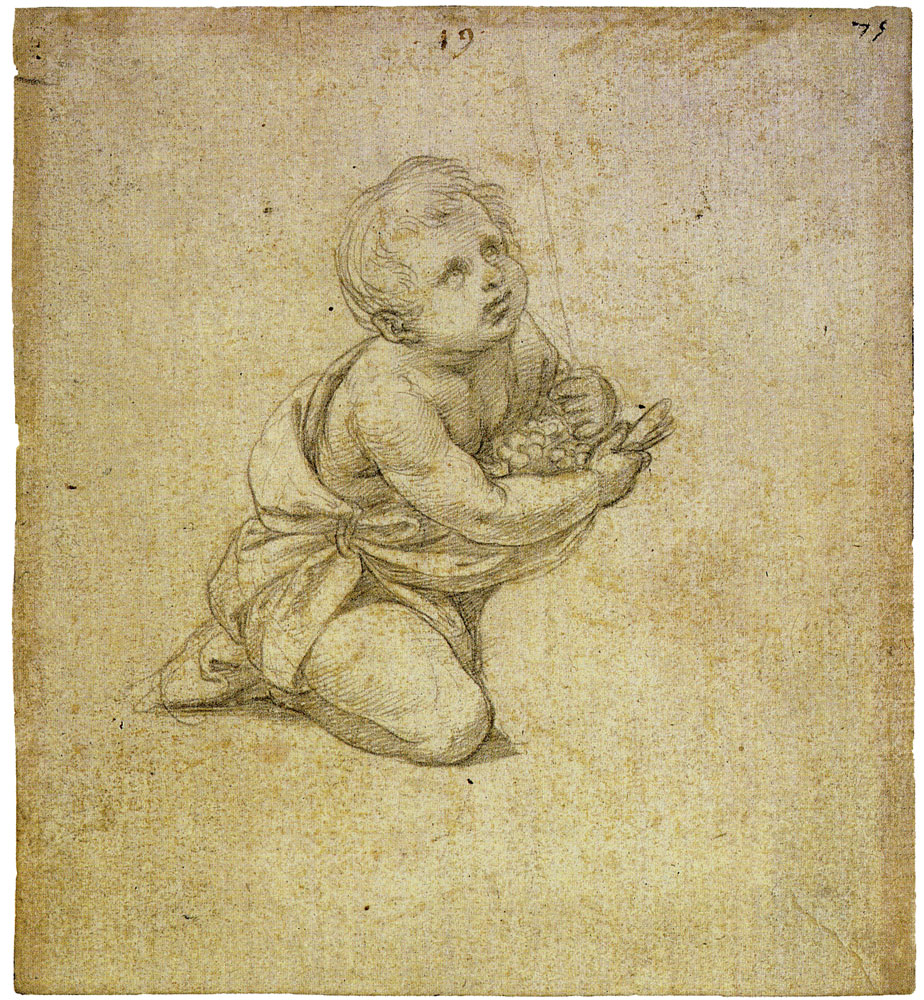 Raphael - Study for the Alba Madonna