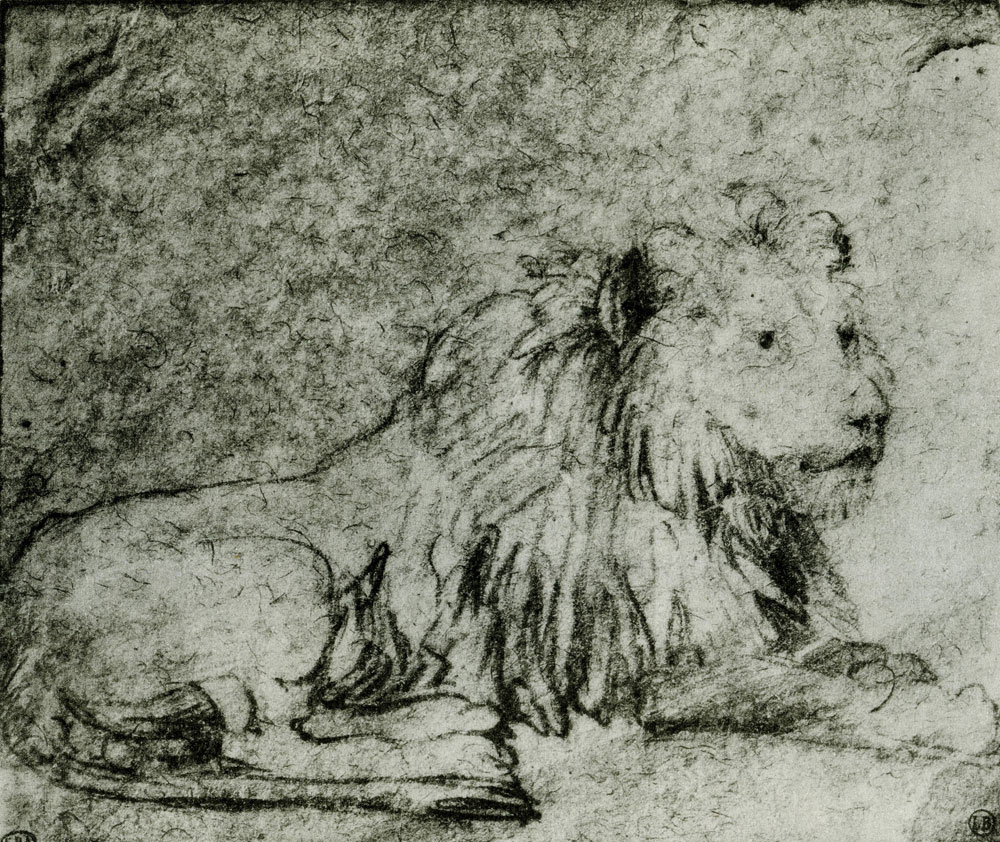 Rembrandt - Lion Resting
