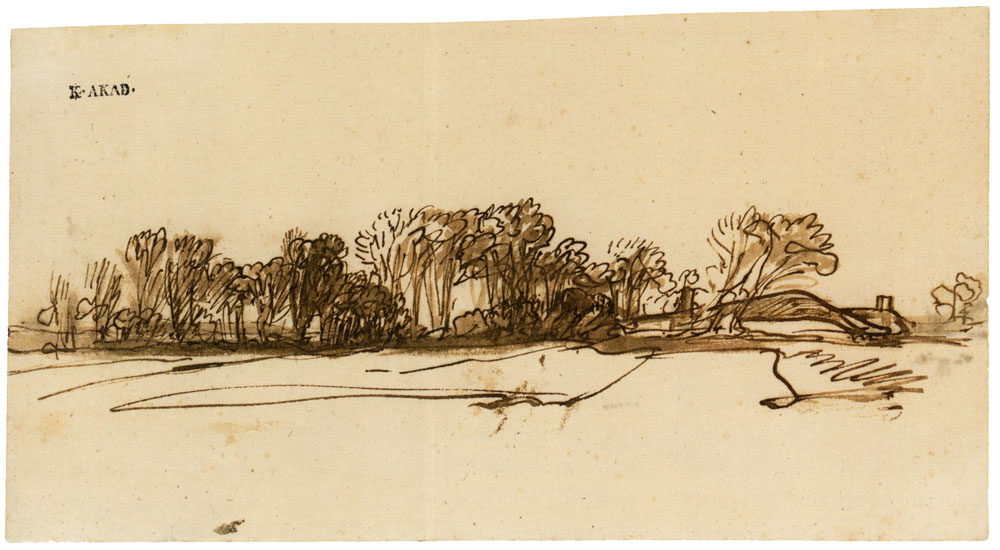 Rembrandt - Row of trees in an open field