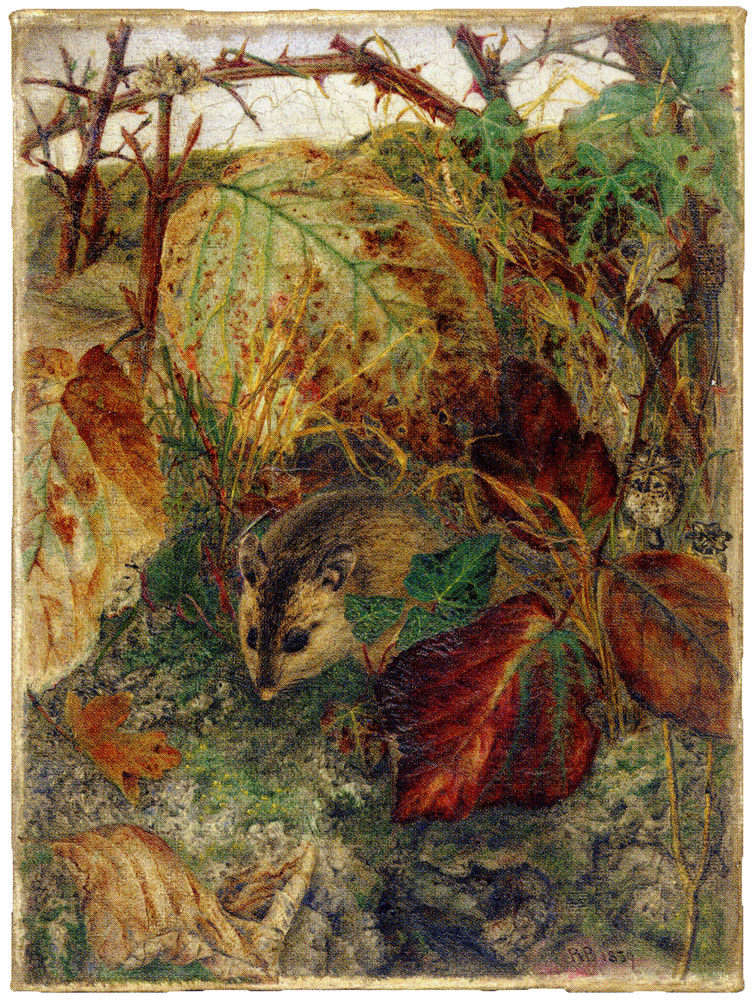 Rosa Brett - Mouse in the Undergrowth