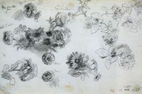 Eugène Delacroix Flower Studies: Indian Roses, Marigolds, and Geraniums