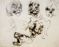 Eugène Delacroix Heads of Roaring Lions and Lionesses
