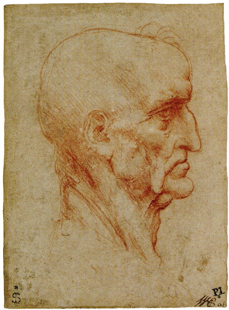 Leonardo da Vinci - Head of an Old Man in Profile