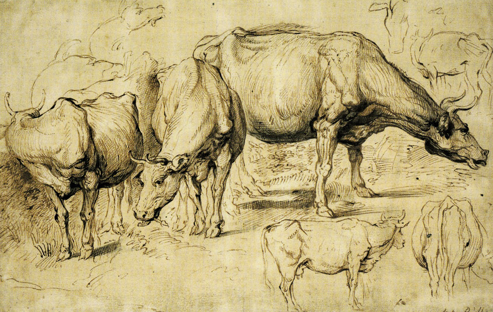 Peter Paul Rubens (?) - Cattle in Pasture
