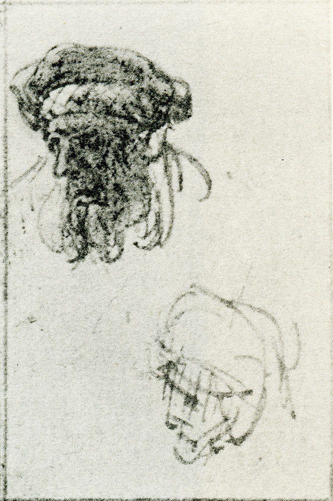 Rembrandt - Head of a Bearded Man