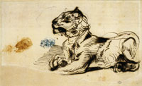Eugène Delacroix Reclining Tiger