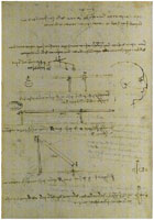 Leonardo da Vinci Designs and Measurements