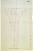 Paul Klee Pedagogical Writings (Planimetrical Creation); Growth and Ramification