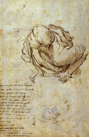 Raphael Study of a Man Leaning Forward