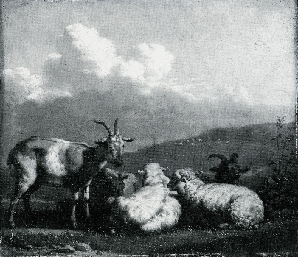 Karel Dujardin - Sheep and Goats