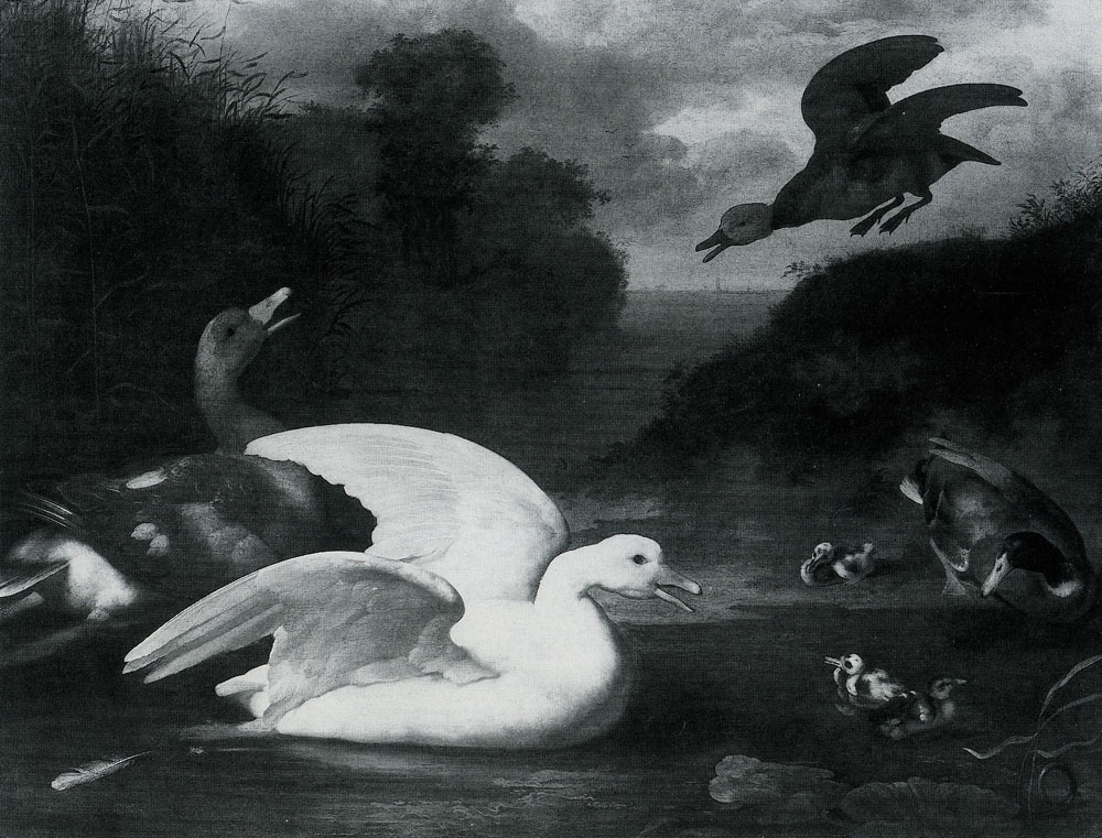 Johannes Spruyt - Geese and Ducks
