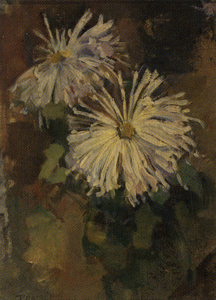 Piet Mondriaan - Two Chrysanthemum Blossoms