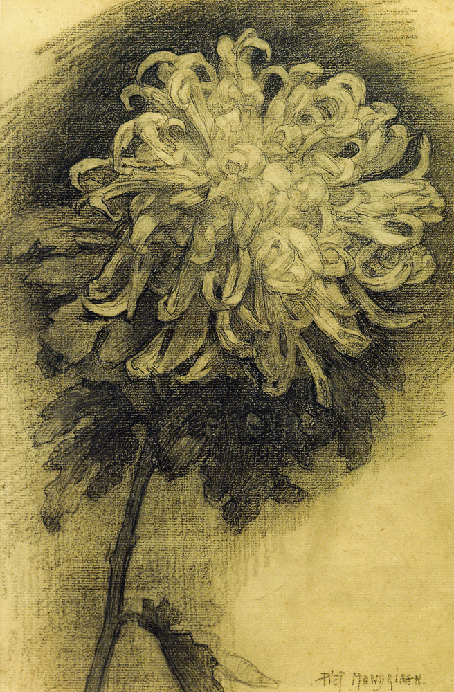 Piet Mondriaan - Chrysanthemum Blossom Leaning Right