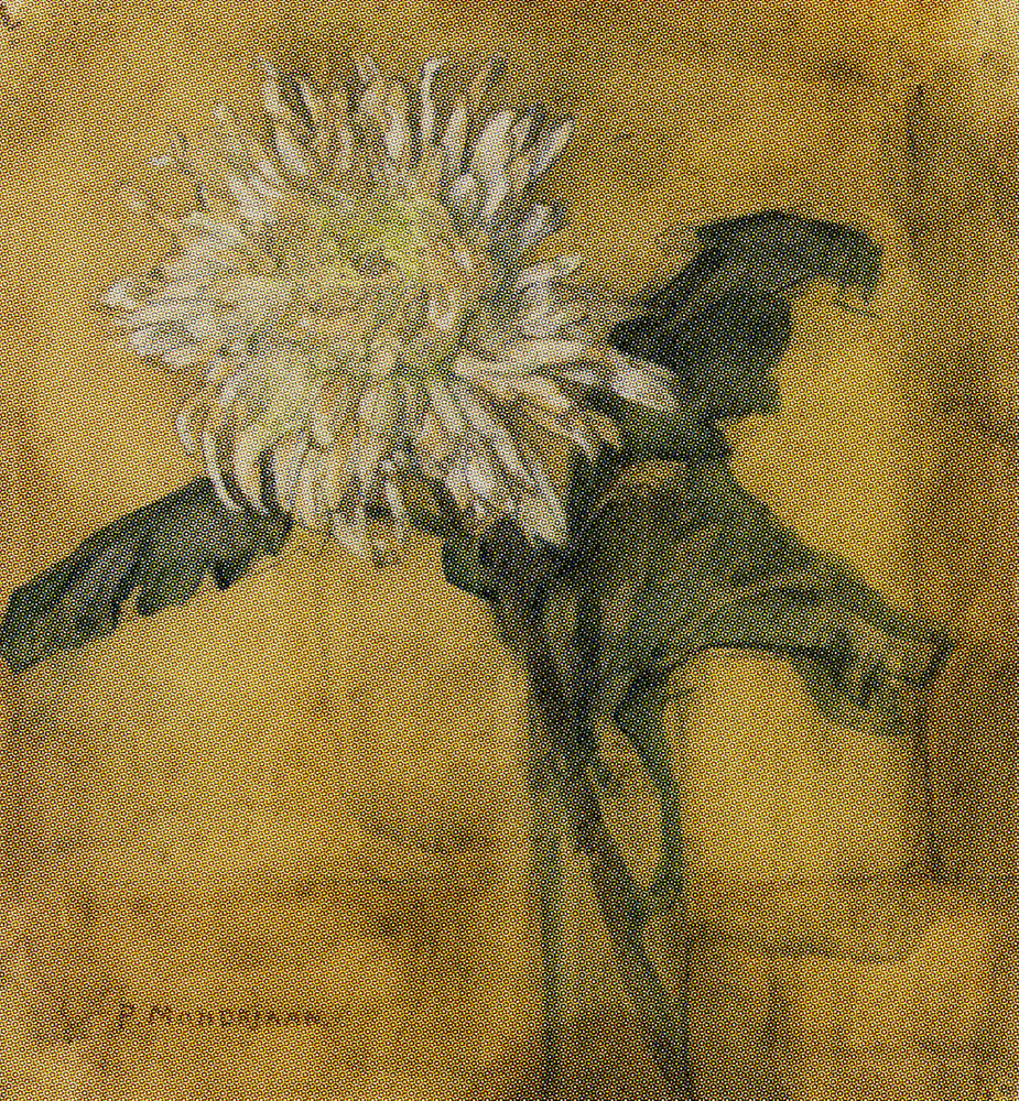 Piet Mondriaan - Chrysanthemum in a Tube Vase