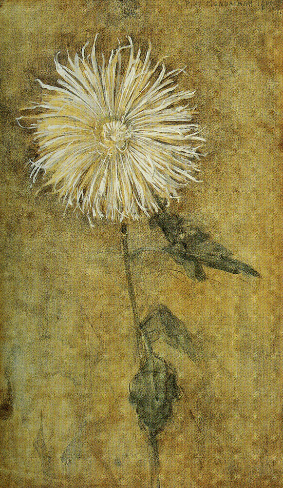 Piet Mondriaan - Upright Chrysanthemum against a Brownish Ground