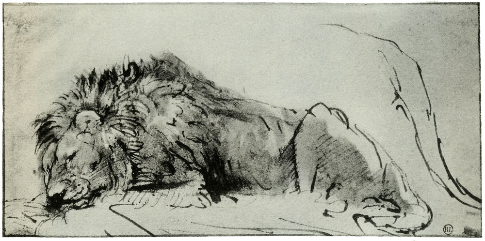 Rembrandt - Lion Asleep