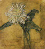 Piet Mondriaan Chrysanthemum in a Tube Vase