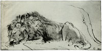 Rembrandt Lion Asleep
