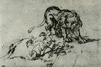 Rembrandt The Lion by the Body of the Disobedient