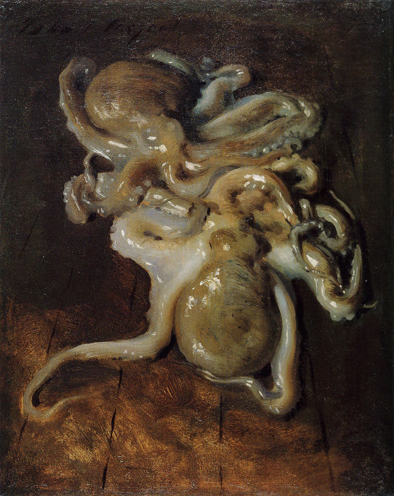 John Singer Sargent - Two Octopi