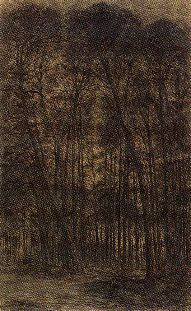 Piet Mondriaan - Pine Woods near Oele
