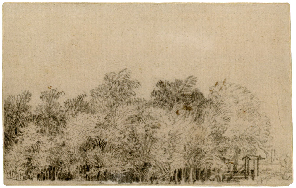 Rembrandt - A Clump of Trees