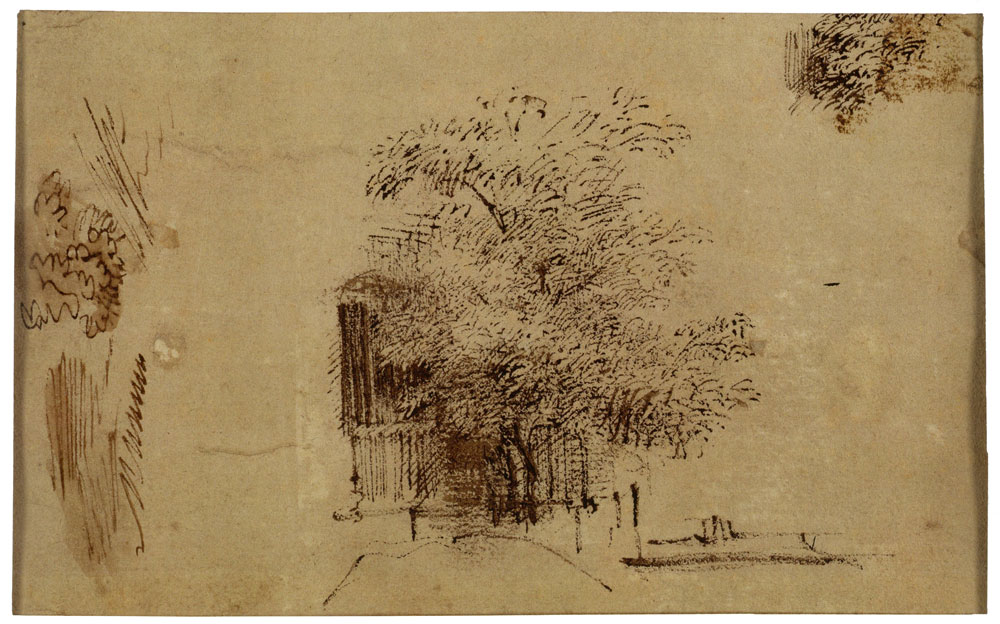 Rembrandt - Study of a Tree