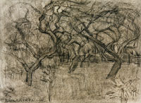 Piet Mondriaan Orchard with Enmeshed Tree Branches