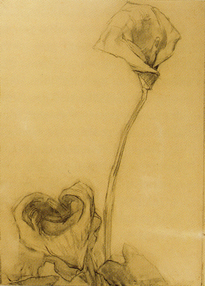 Piet Mondrian - Two Arum Lilies