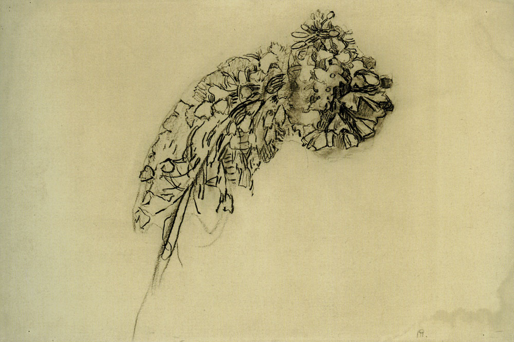 Piet Mondriaan - Foxtail Lily: Study II