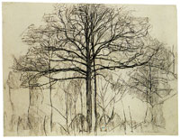 Piet Mondrian Study of Trees
