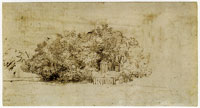 Pieter de With A Clump of Trees